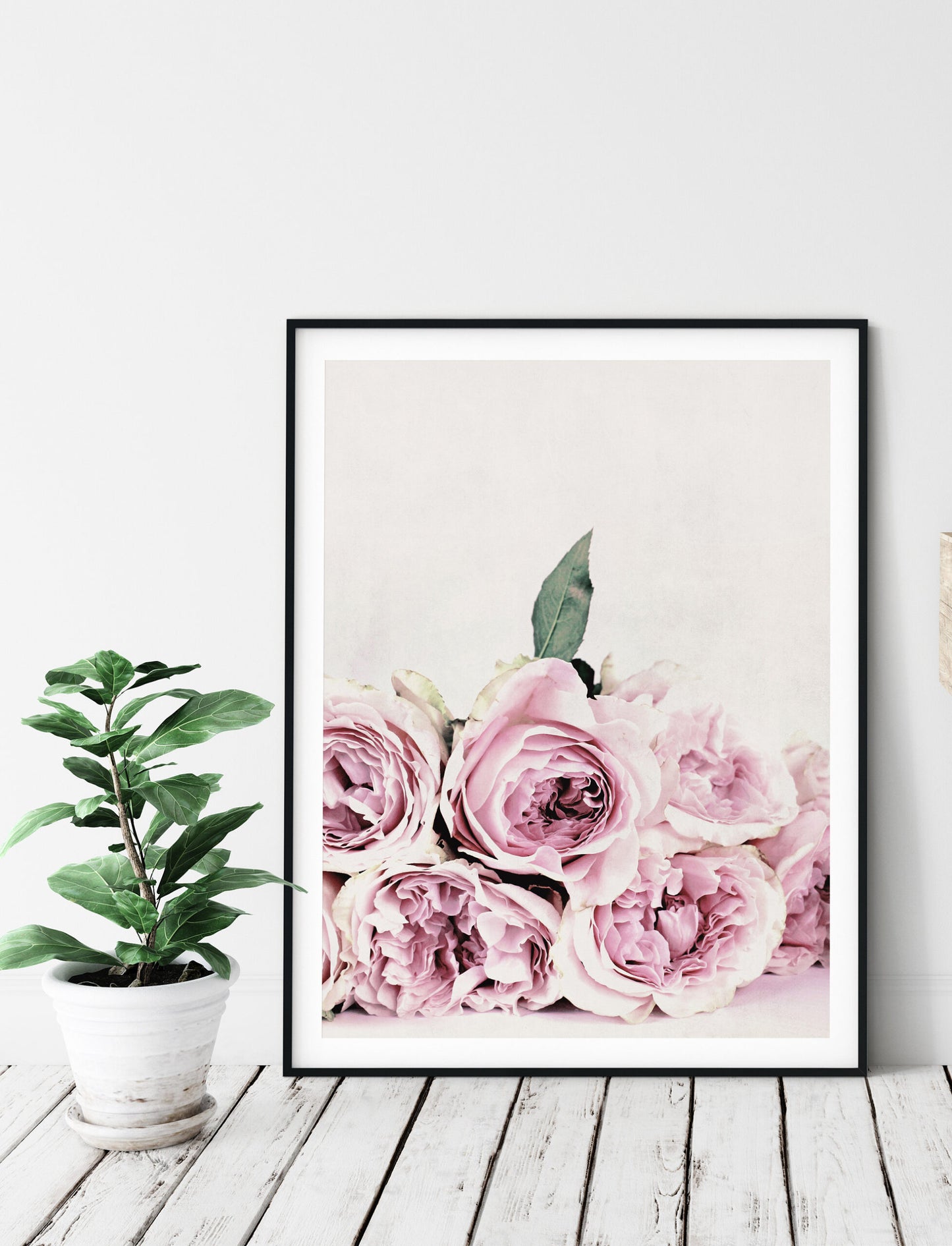 Pink & White Peony Flowers Poster Print Wall Art Decor