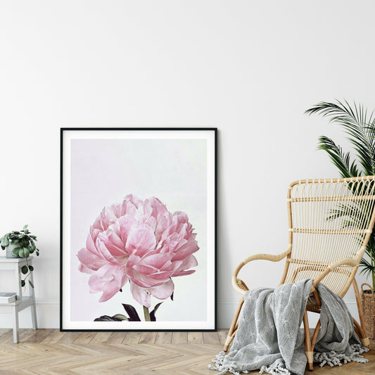 Pink Peony Flower Poster Print Wall Art Decor