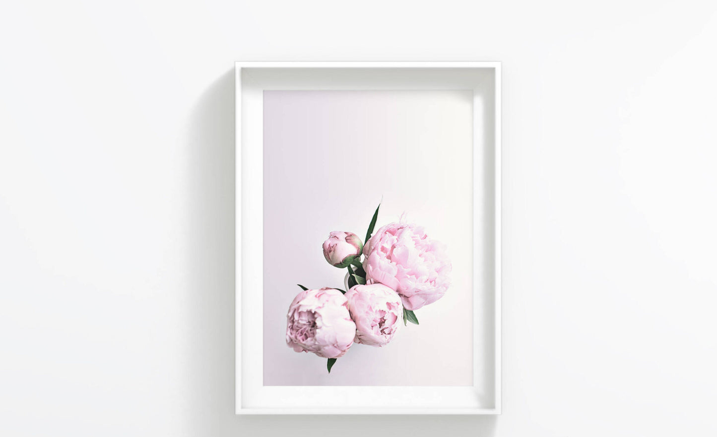 Pink Peony Flower Bunch Art, Poster Print, Wall Art Decor