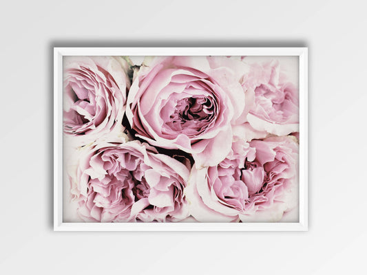 Large Bunch of Pink Peony Flowers Poster Print Wall Art Decor