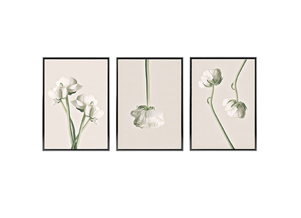 Set of 3 Poster Prints White Peonies, Wall Art Home Decor