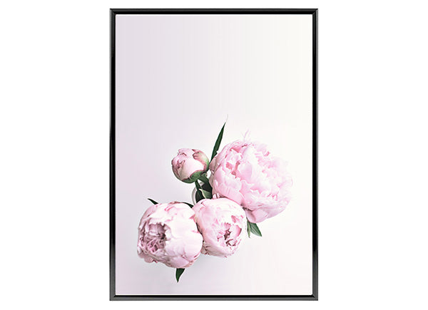 Pink Peony Flower Bunch Art, Poster Print, Wall Art Decor