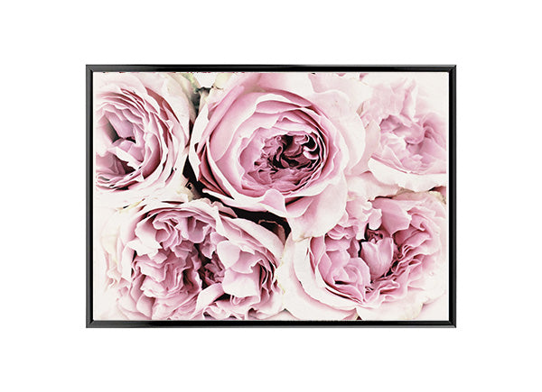 Large Bunch of Pink Peony Flowers Poster Print Wall Art Decor
