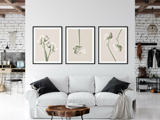Set of 3 Poster Prints White Peonies, Wall Art Home Decor