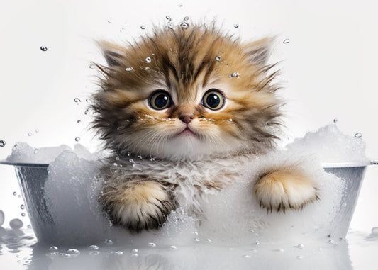 Baby Kitten in Bath Digital Nursery Bedroom Artwork Wall Art Decor Poster Prints