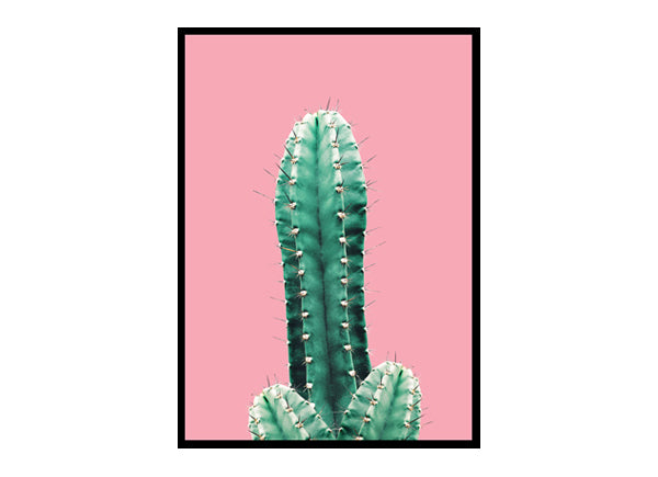 Pink Botanical Cactus Poster Print Wall Art Home Decor