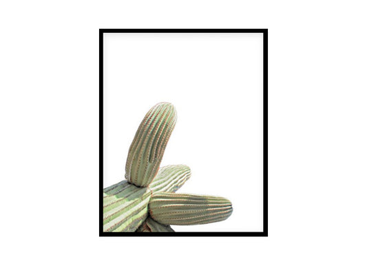 Tropical Cactus Poster Print, Wall Art Home Decor