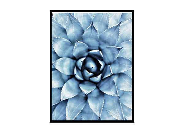 Succulent Cactus Wall Art Poster Print, Cacti Wall Art Home Decor
