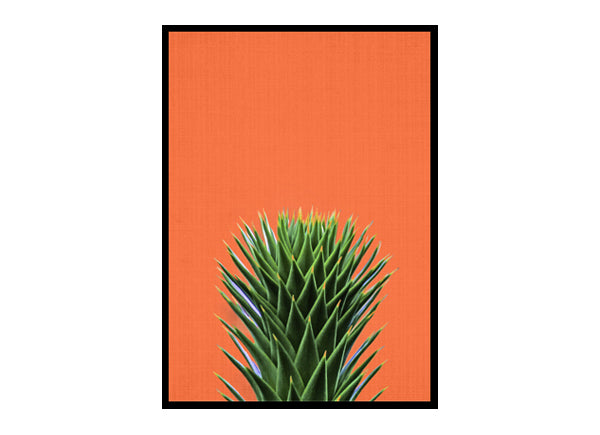 Desert Cactus Poster Print, Wall Art Home Decor