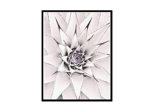 White Cactus Poster Print,Succulents and Cacti Wall Art Home Decor