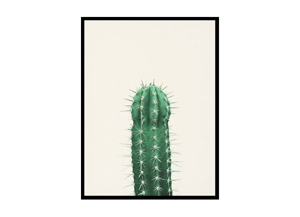 Cactus Poster Print