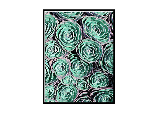 Cactus Poster Print ,Cacti Wall Art Decor