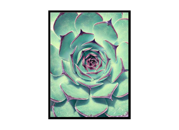 Cactus Poster Print Wall Art, Cacti Home Decor Print