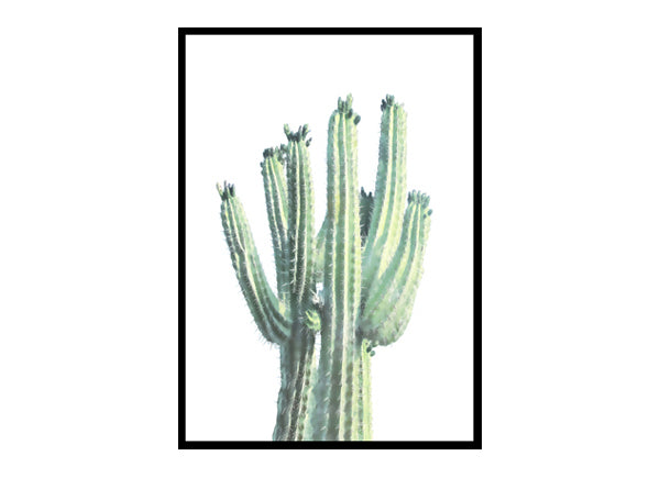 Cactus Art Print, Cacti Wall Art Home Decor Print