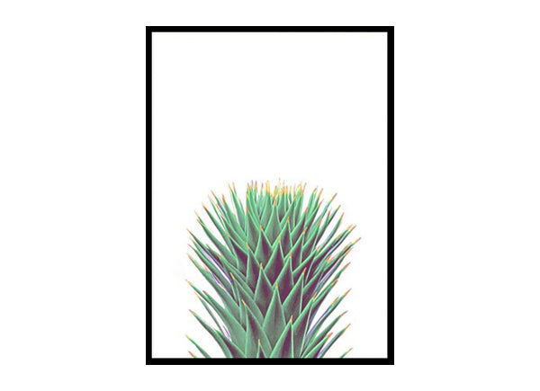 Cactus Poster Print, Botanical Print Wall Art Home Decor Print