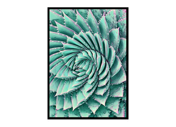 Agave Wall Art Home D?or Kitchen Wall Art Poster Print