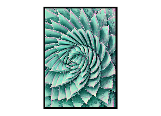 Agave Wall Art Home D?or Kitchen Wall Art Poster Print