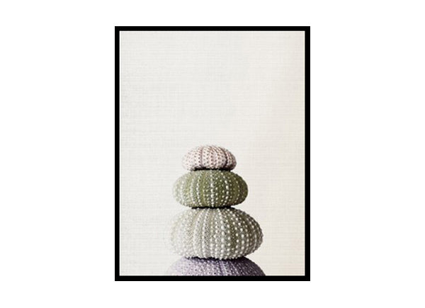 Sea Shell Marine Urchin Home Decor Ocean, Sea, Beach Poster Print