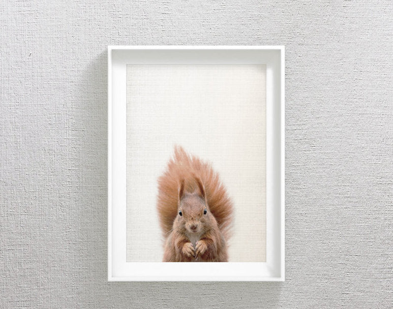 Squirrel Print, Squirrel Art, Squirrel Decor, Squirrel Printable, Home Decor Print