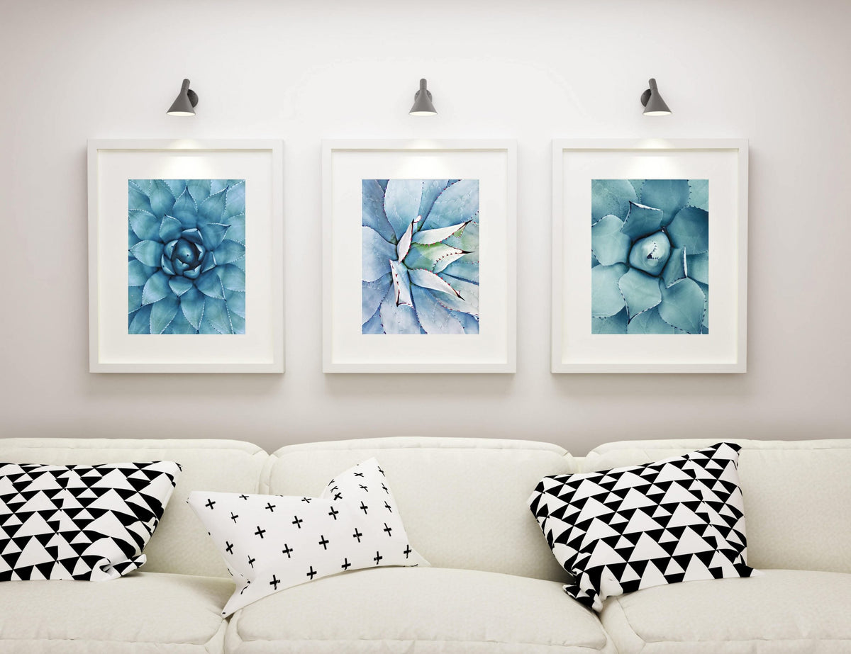 Succulent Cactus Poster Print, Cactus Wall Art Home Decor poster print wall art coastal decor