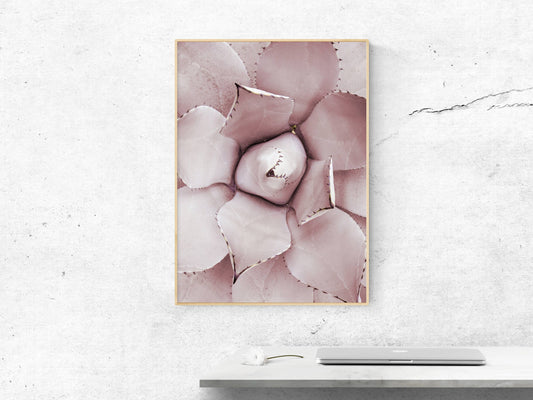 Pink Cactus Print, Pink Succulent Plant, Cactus Wall Art, Home Decor Print