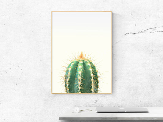 Large Cactus Print, Cactus Wall Art Download, Cactus Poster, Home Decor Print