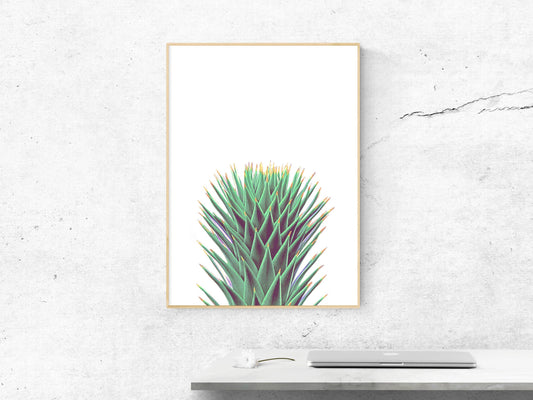 Cactus Wall Decor, Cacti Decor, Botanical Print,Green Wall Art, Home Decor Print