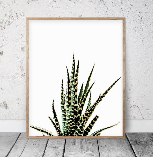 Cactus Wall Art Print, Succulent Print, Desert Wall Decor, Home Decor Print
