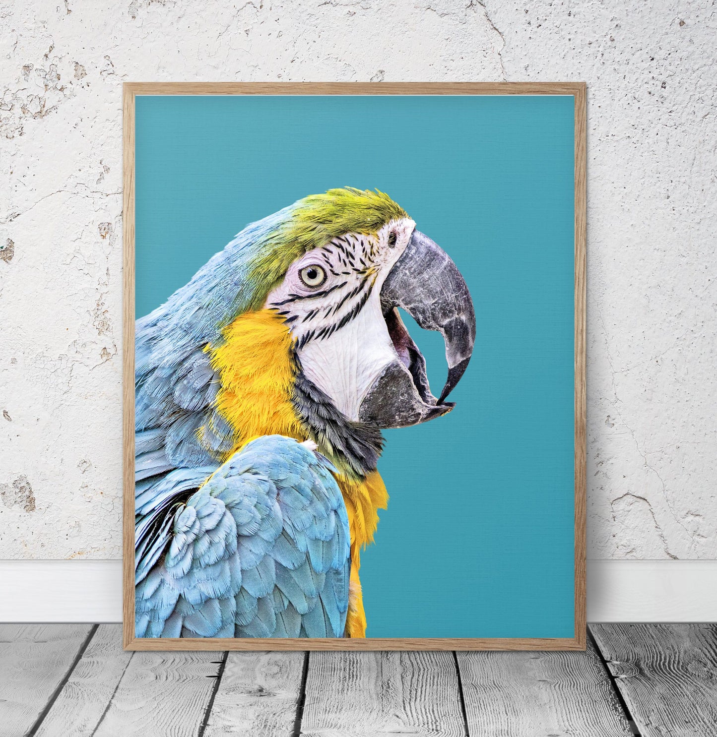 Parrot Artwork, Turquoise Bird Printable Wall Art, Home Decor Animal Prints
