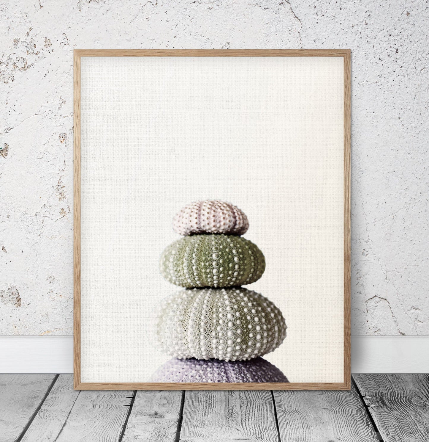Sea Shell Print,Marine Wall Art,Sea Urchin Decor For Bathroom,Home Decor Print