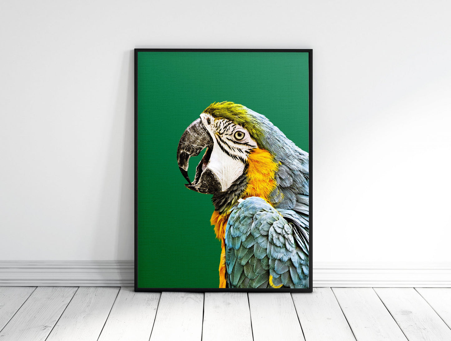 Macaw Parrot Print, Tropical Photo, Parrot Wall Art, Home Decor Animal Prints