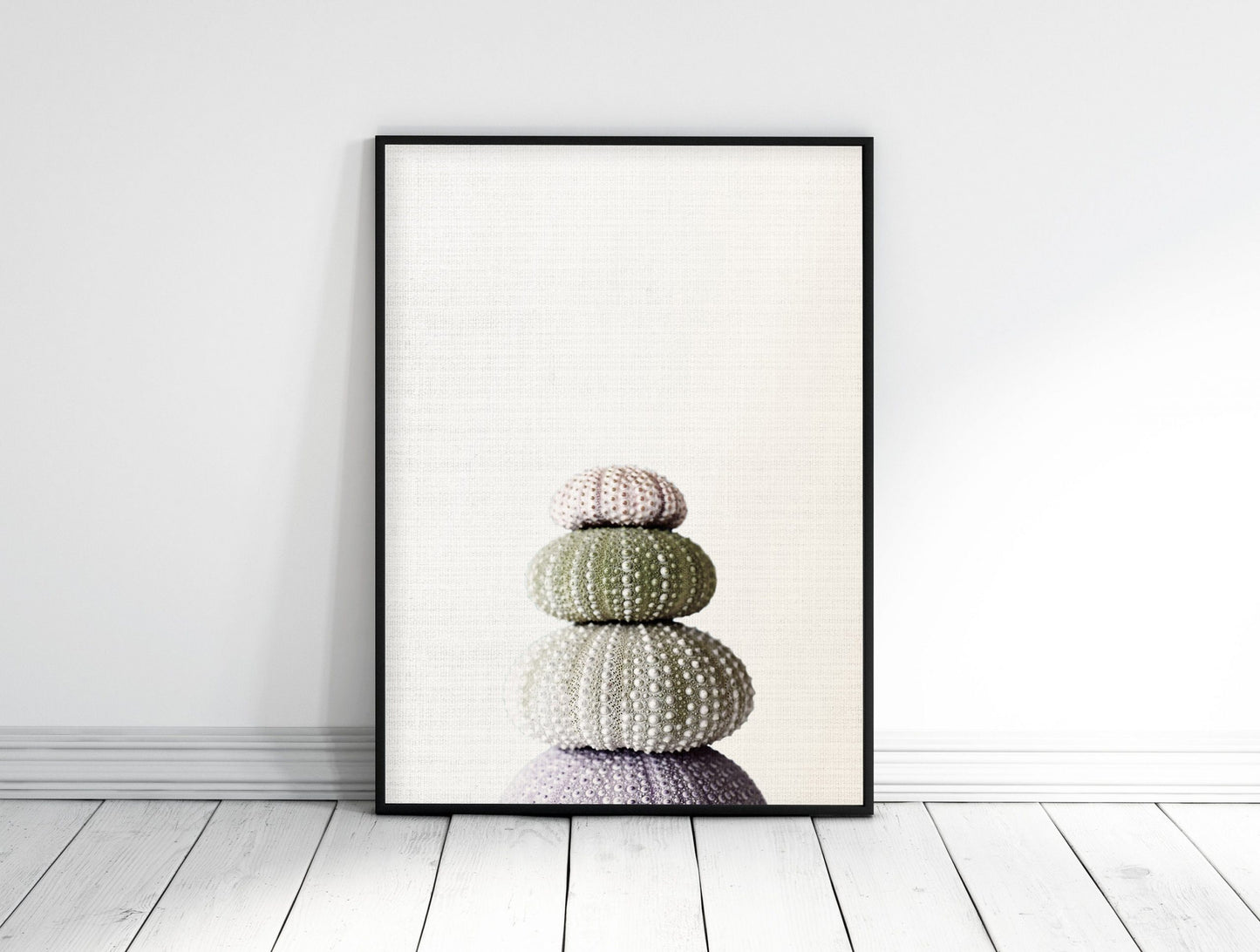 Sea Shell Print,Marine Wall Art,Sea Urchin Decor For Bathroom,Home Decor Print