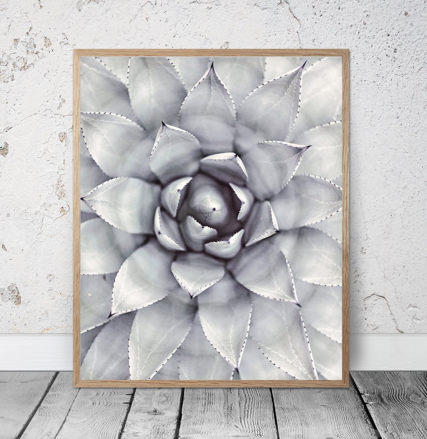 Succulent Art Prints, Succulent Decor, Botanical Print, Room Wall Art Decor
