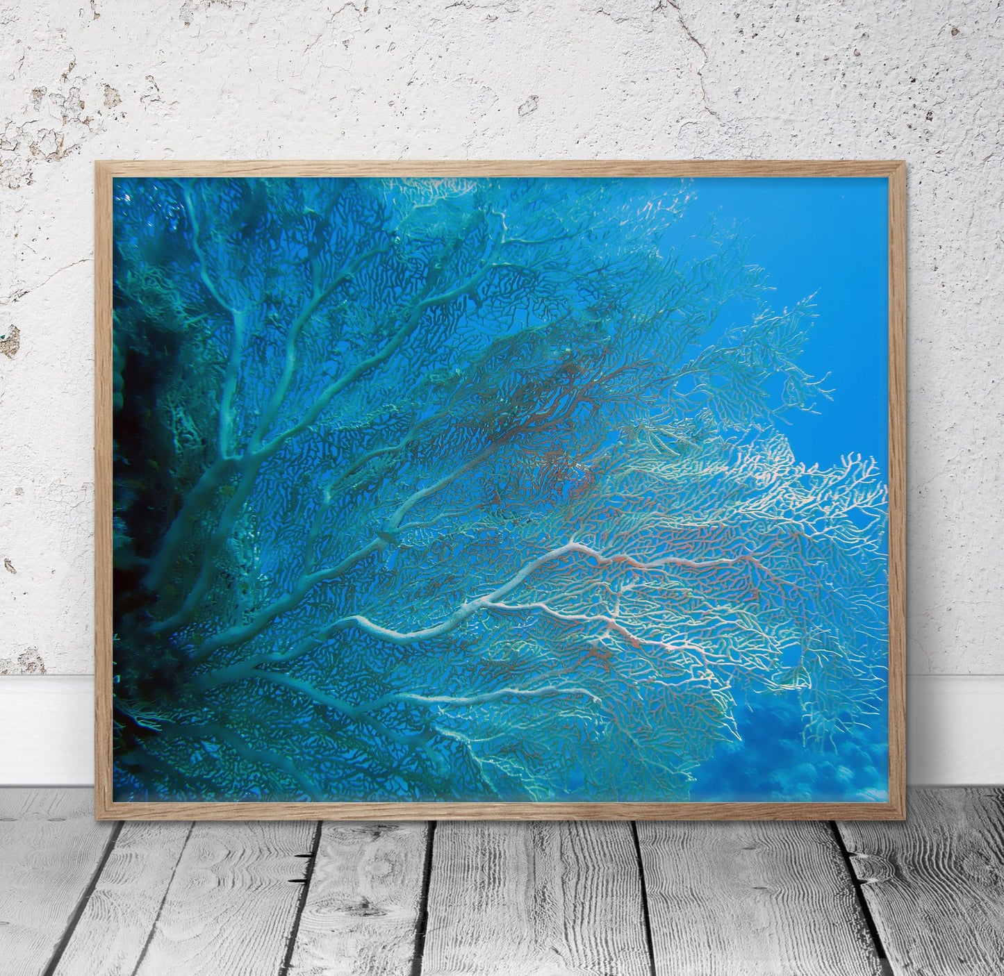 Coral Prints, Navy Decor, Underwater Photography, Aqua Print, Home Decor Print