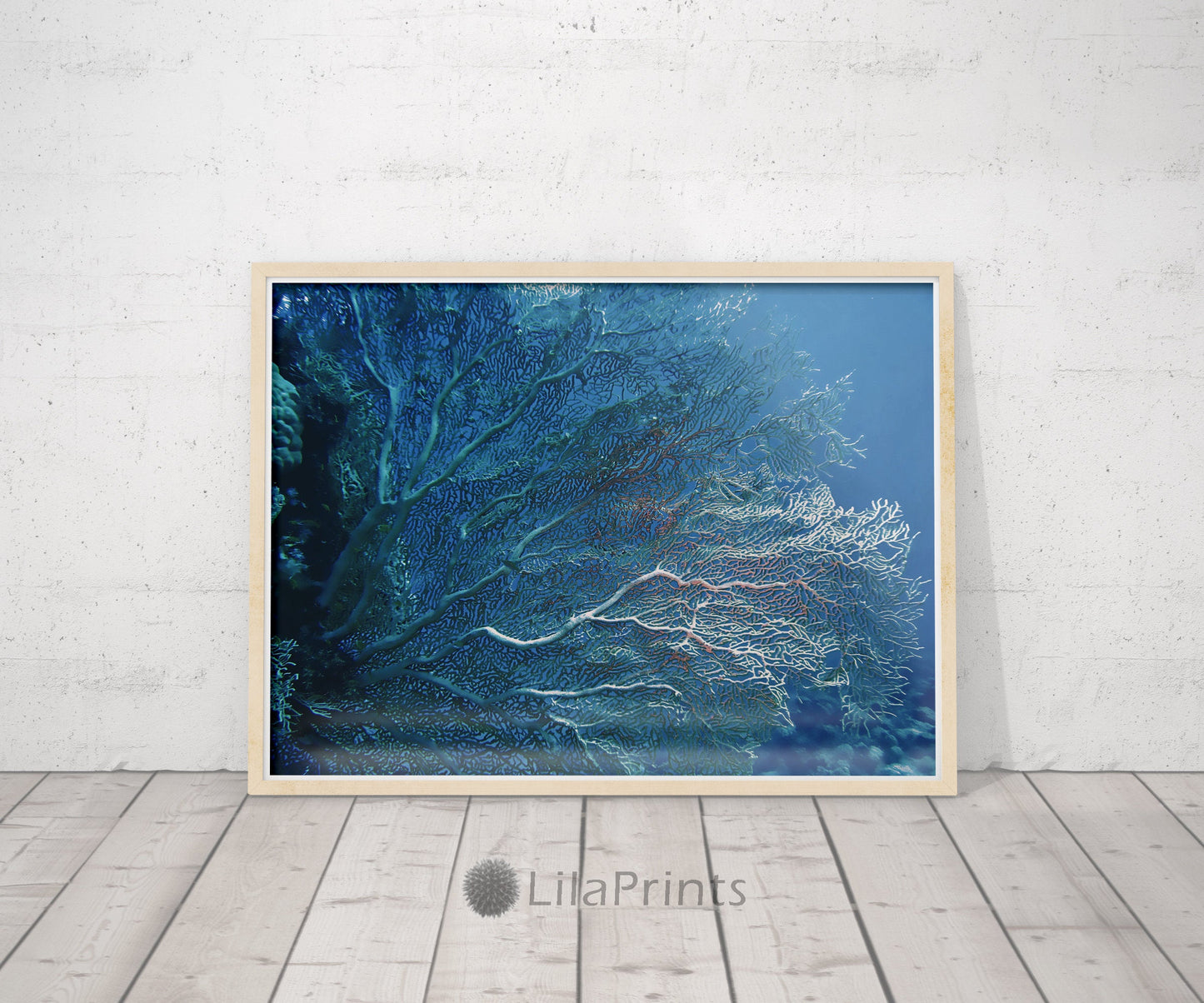 Coral Prints, Navy Decor, Underwater Photography, Aqua Print, Home Decor Print