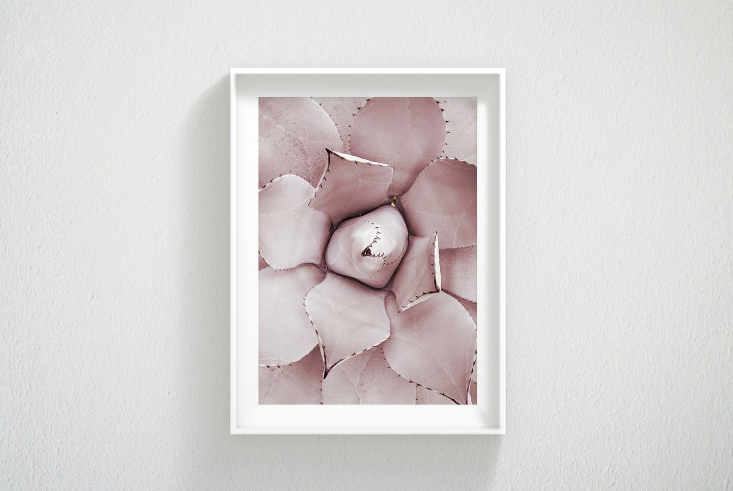 Pink Cactus Print, Pink Succulent Plant, Cactus Wall Art, Home Decor Print