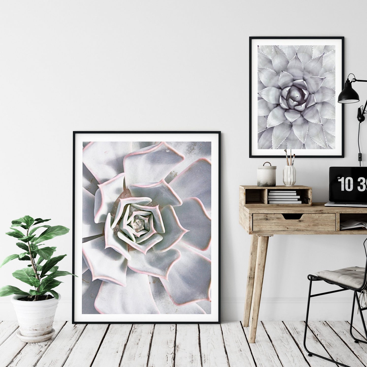 Botanical Print Cactus Flower Plants, Modern Wall Art, Home Decor Print