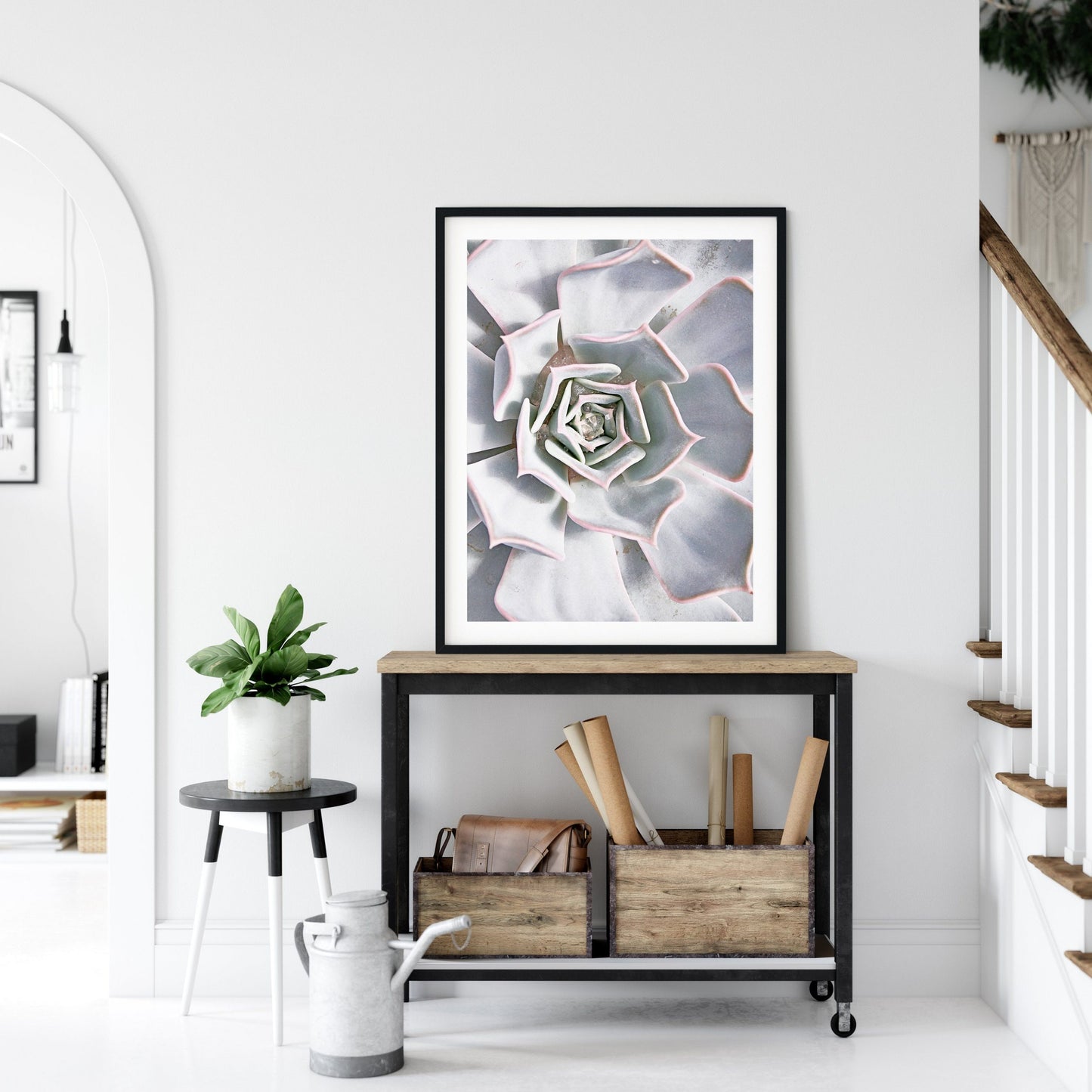 Botanical Print Cactus Flower Plants, Modern Wall Art, Home Decor Print