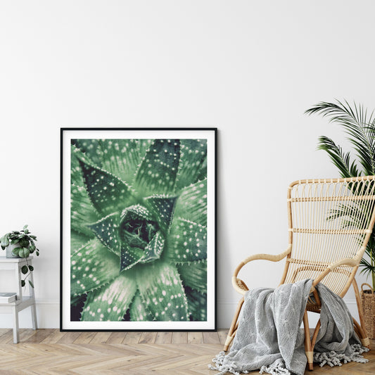 Succulent Art Print, Cactus Wall Art, Succulents and Cacti,Home Decor Print