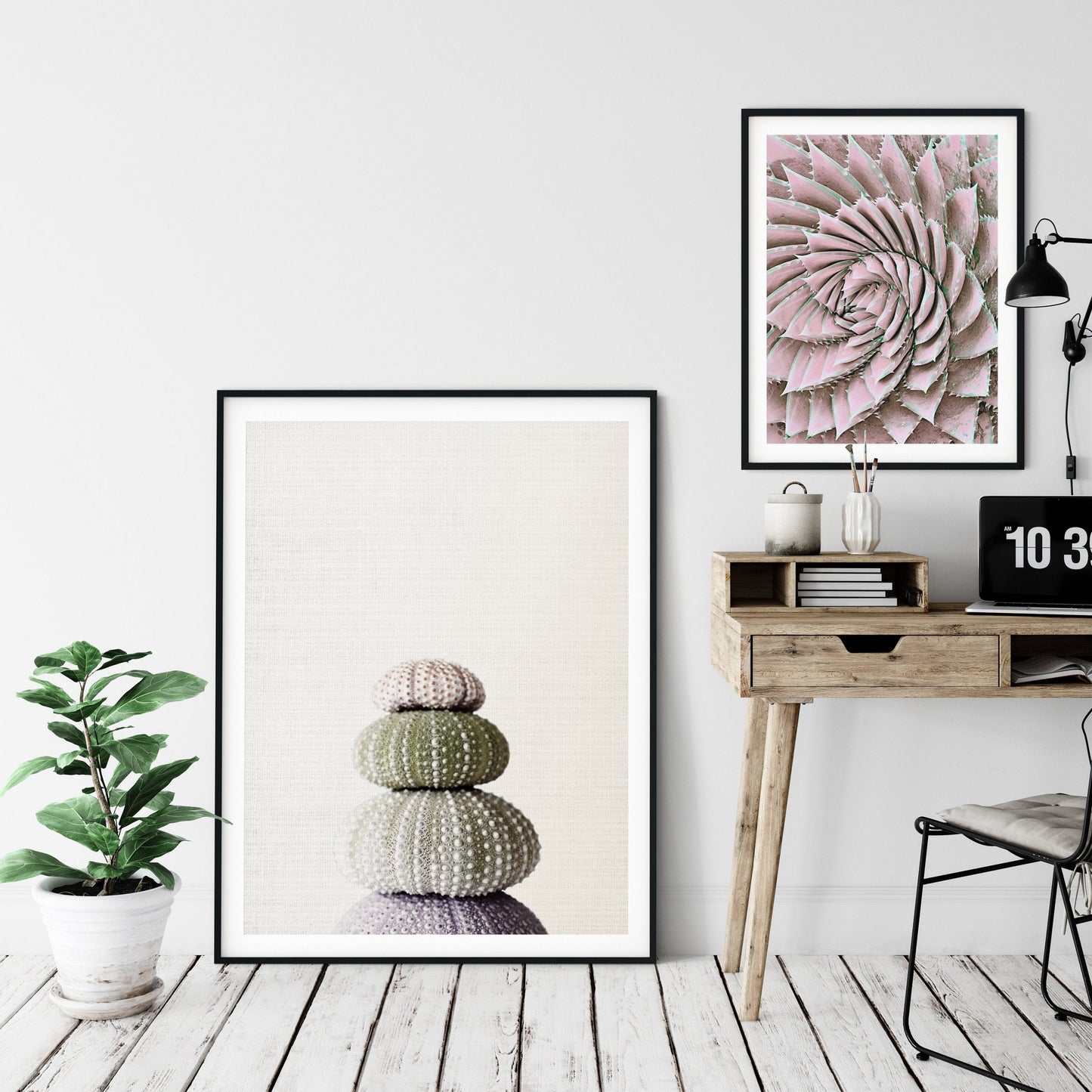 Sea Shell Print,Marine Wall Art,Sea Urchin Decor For Bathroom,Home Decor Print