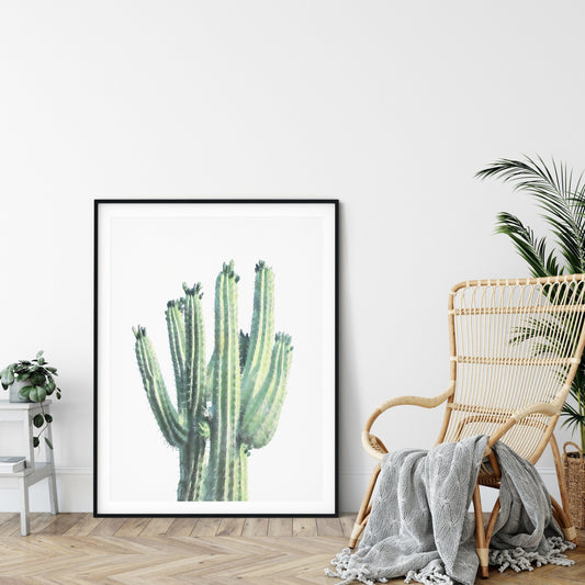 Cactus Art Print, Cacti Photography, Mexican Art, Neutral Print, Home Decor Print