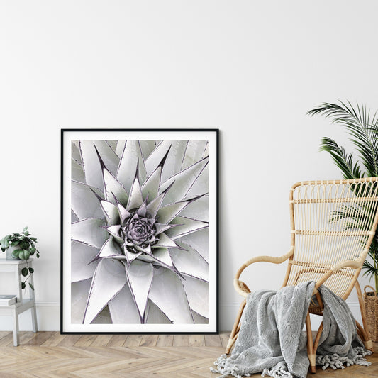 Succulent Agave Art, Modern Wall Print, Minimalist Poster,Room Wall Art Decor