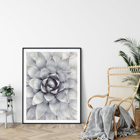 Succulent Art Prints, Succulent Decor, Botanical Print, Room Wall Art Decor