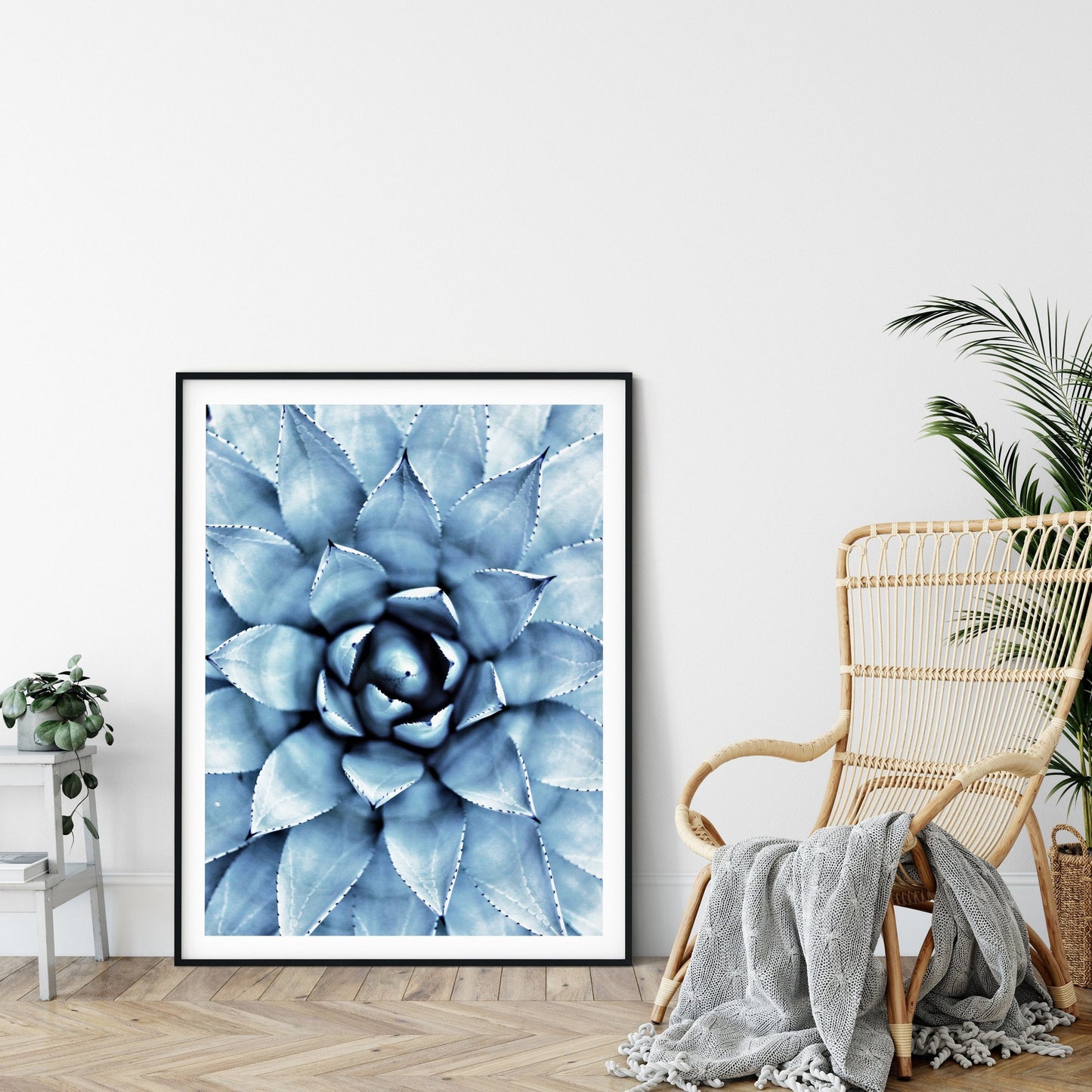 Succulent Printable Wall Art, Cactus Print, Succulents and Cacti, Home Decor Print