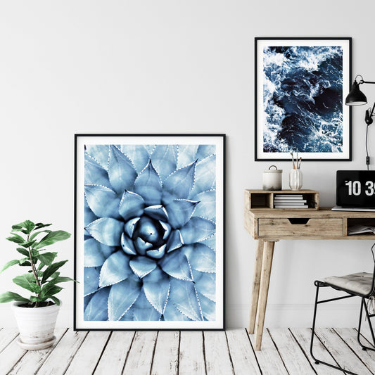 Succulent Printable Wall Art, Cactus Print, Succulents and Cacti, Home Decor Print