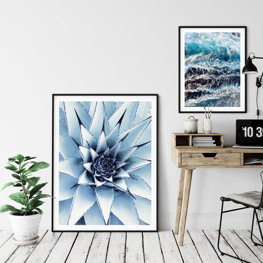 Succulent Printable Wall Art, Cactus Print, Succulents and Cacti, Home Decor Print