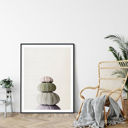 Sea Shell Print,Marine Wall Art,Sea Urchin Decor For Bathroom,Home Decor Print