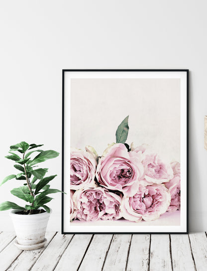 Pink & White Peony Flowers Poster Print Wall Art Decor