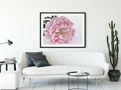 Large Pink Peony Flower Poster Print Wall Art Home Decor