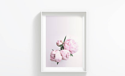 Pink Peony Flower Bunch Art, Poster Print, Wall Art Decor